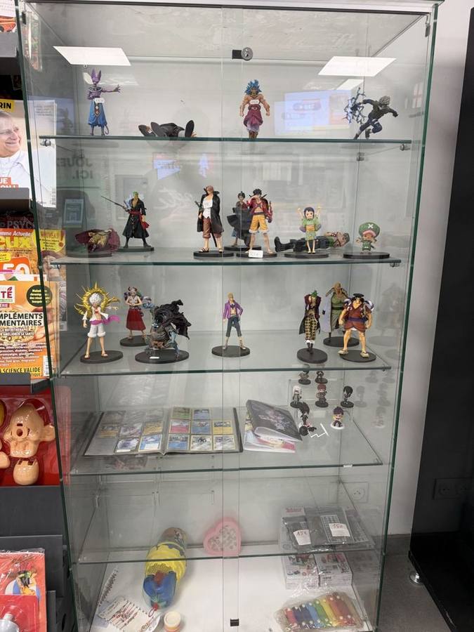 La vitrine des figurines